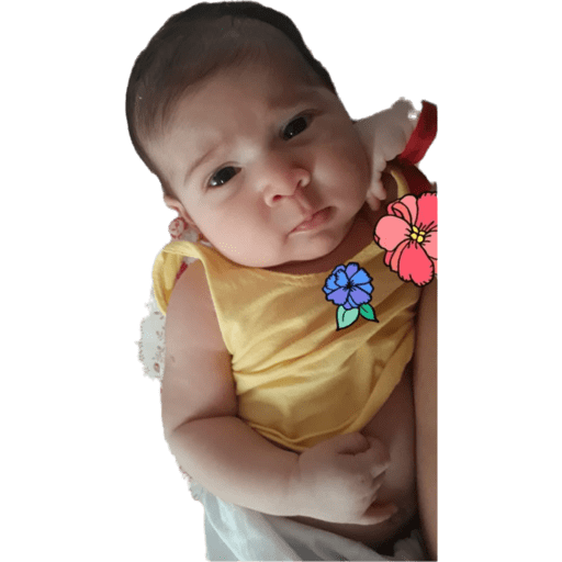 Elisa