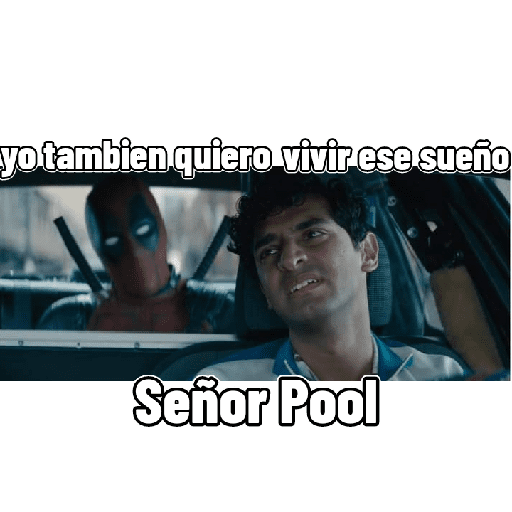 Momos 28