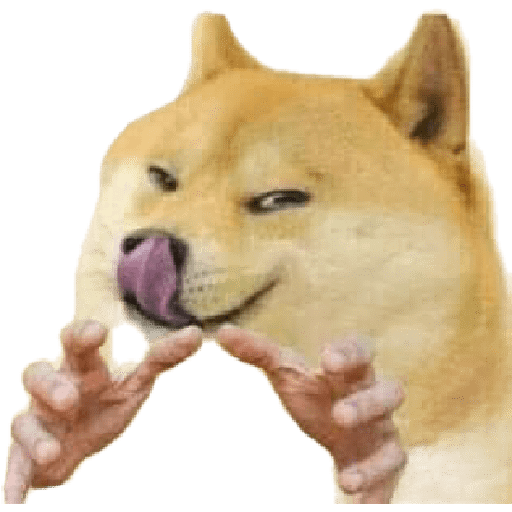 Momos 9