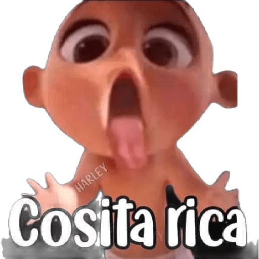 Momos 11