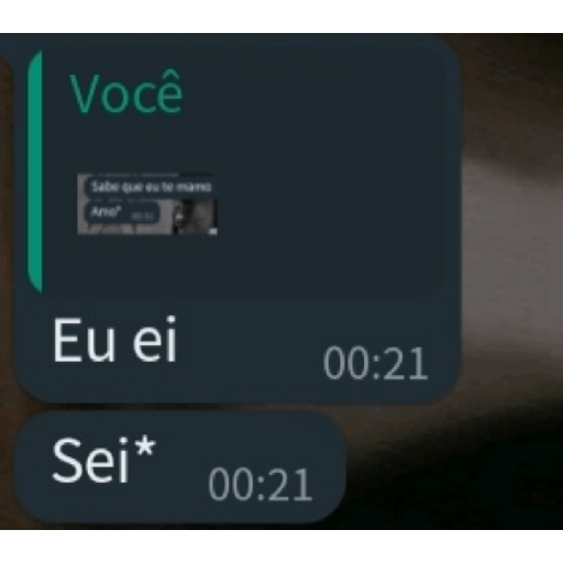 Print de status/whatsapp 23
