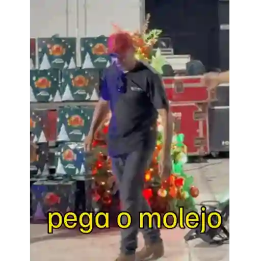 Minhas figurinhas 8