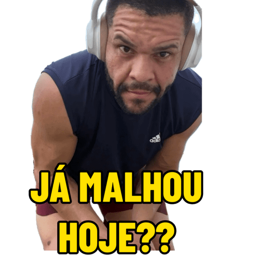 Novo 13