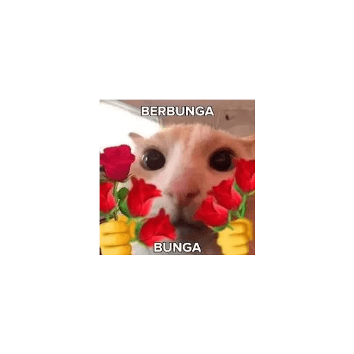 My bini my kisah tuh 😹 (pt. 2) 6