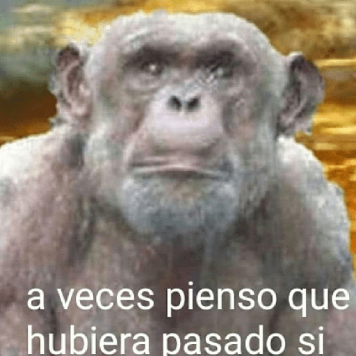La tuya porseacaso 11