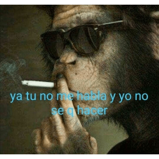La tuya porseacaso 8