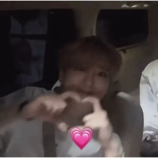 Stray kids random  14
