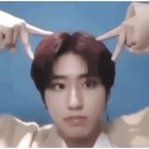 Stray kids random  16