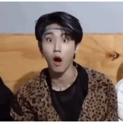 Stray kids random  10