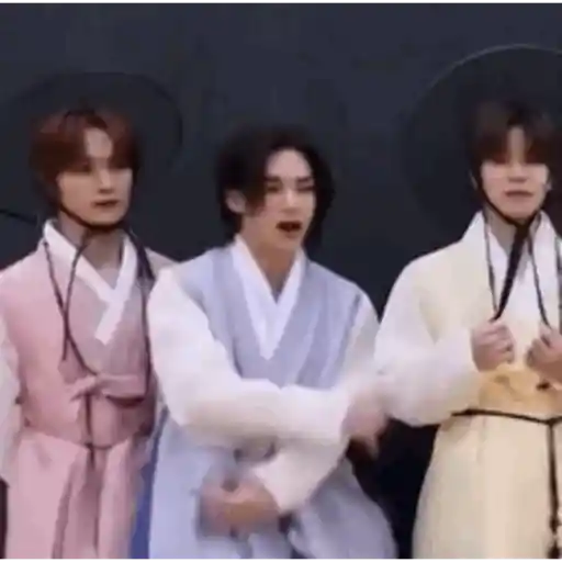Stray kids random  7
