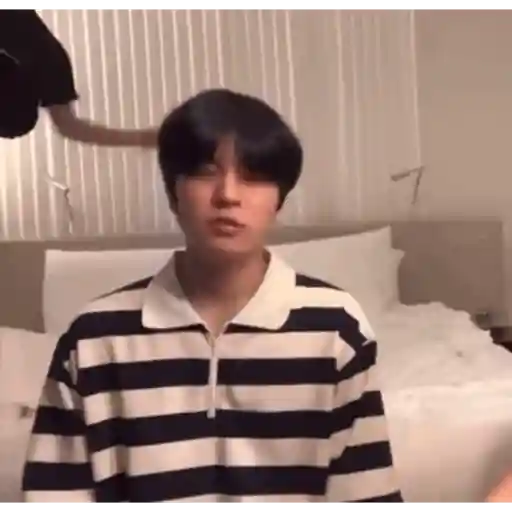 Stray kids random  30