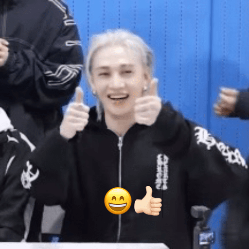 Stray kids ~chanbngg🐝 14