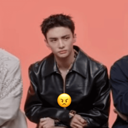 Stray kids ~chanbngg🐝 6