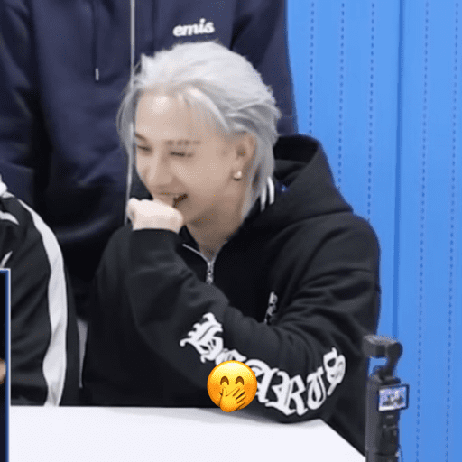 Stray kids ~chanbngg🐝 3