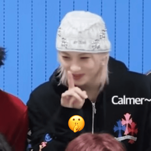 Stray kids ~chanbngg🐝 2