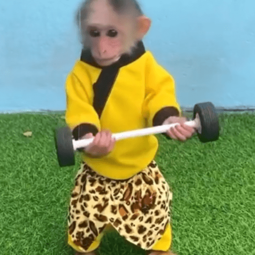 Ratenho 3