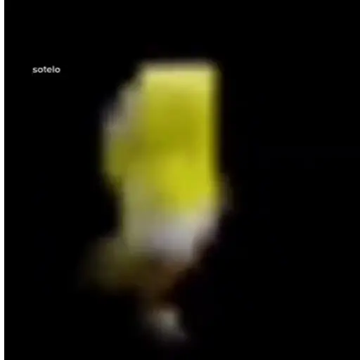 Xddd