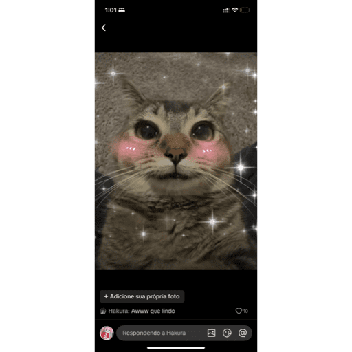 Mais mais de gatinhos da mira 18