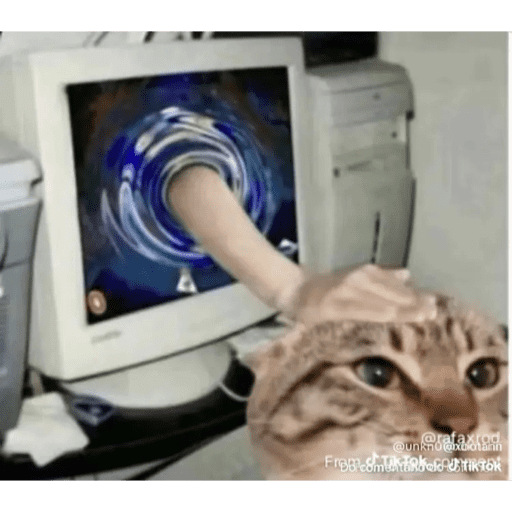 Mais mais de gatinhos da mira 12
