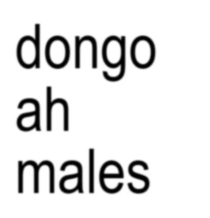 Kata kata imut 20