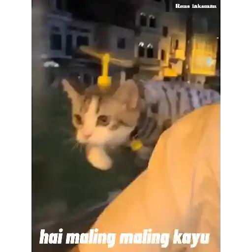 Bilang makasih udah di buatin  21