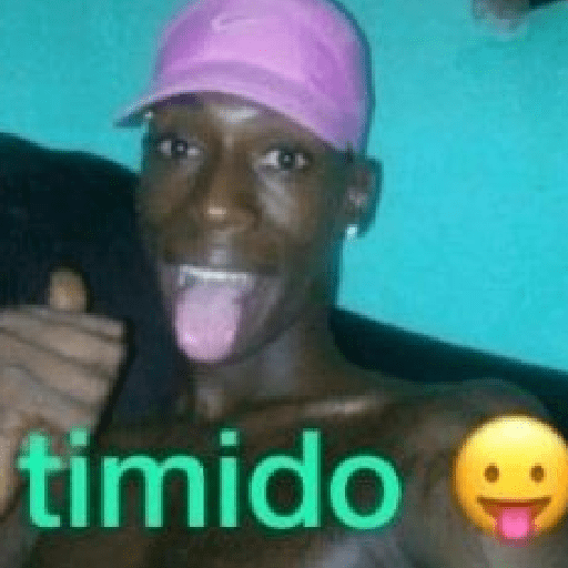 João Henrique Anão  17