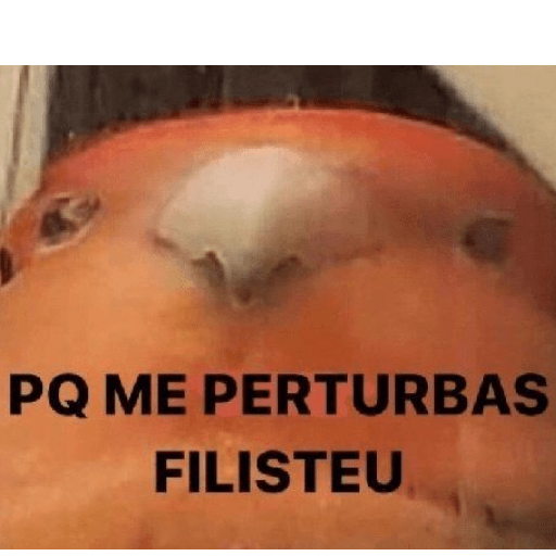 João Henrique Anão  13
