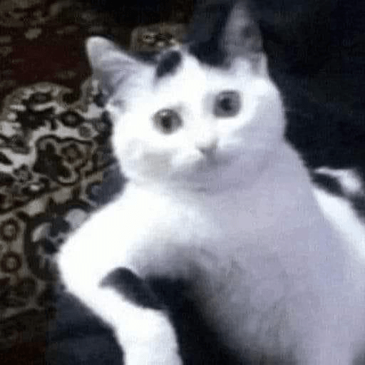 Albins reaction 23