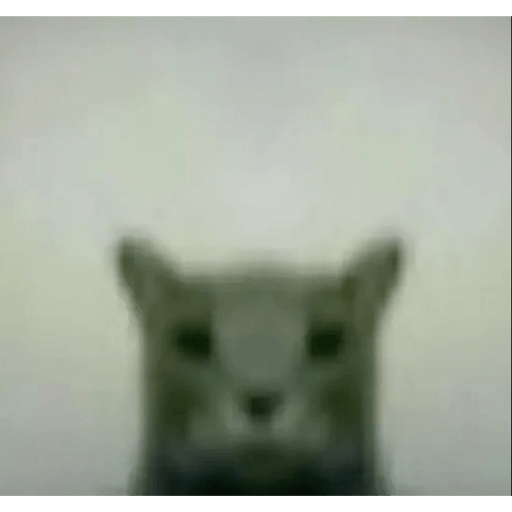 Albins reaction 14
