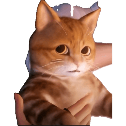 Wow 12