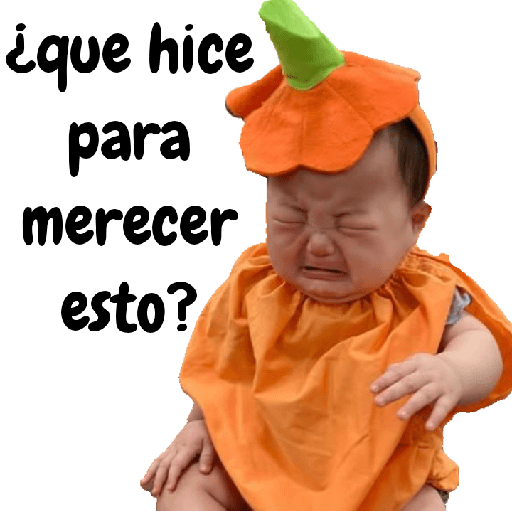 Bebecitos 24 16