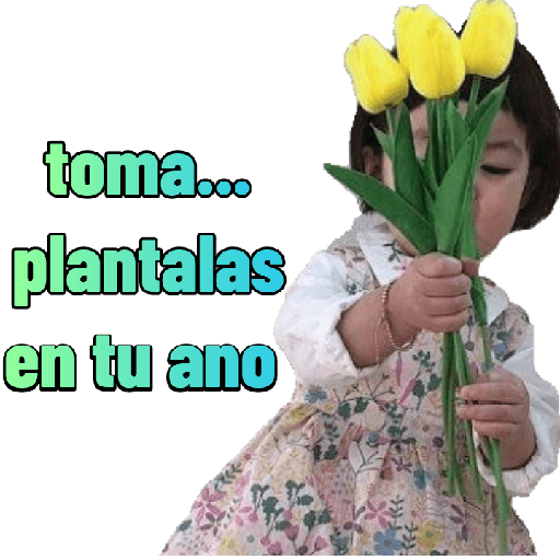 Bebecitos 24 7