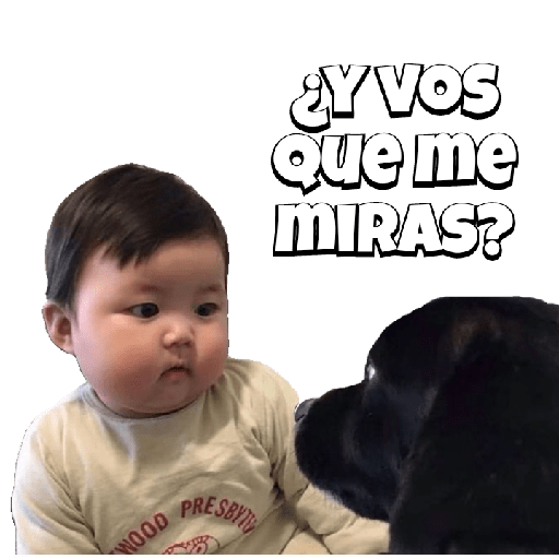 Bebecitos 24 15