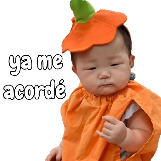 Bebecitos 24 17