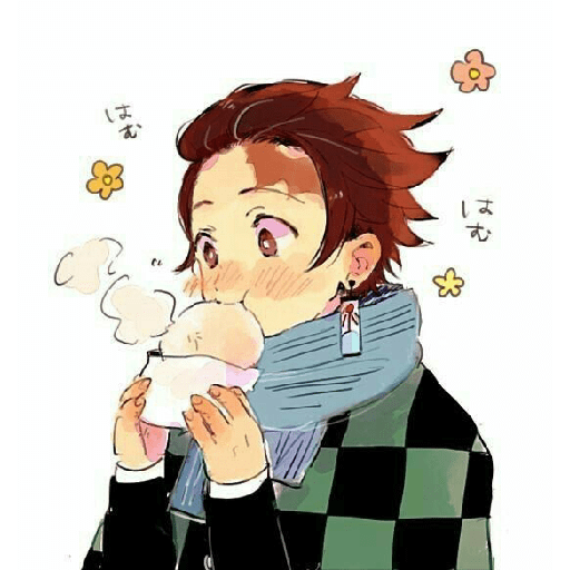 Tanjiro 27