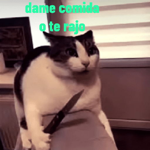 Gatito asesino