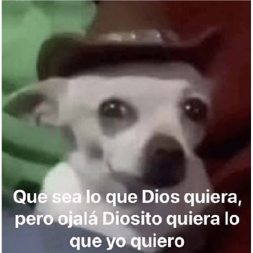 ???? 8
