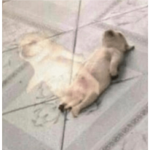 ???? 14