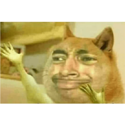 Tu khe haces aquí