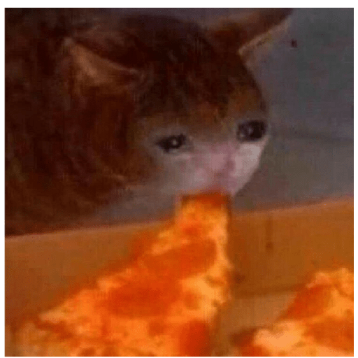 Tu khe haces aquí