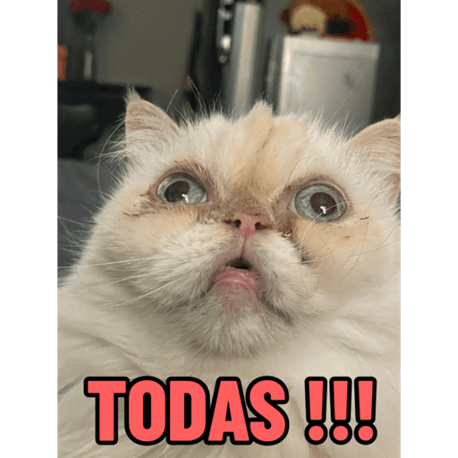 Mis pegatinas 12