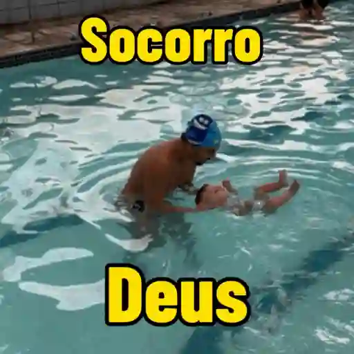 Minhas figurinhas 8