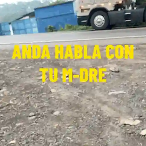 Marquense a la mayor  7
