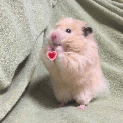 MOOD 💌 • San Valentin • 💌 23