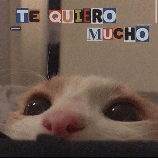 MOOD 💌 • San Valentin • 💌 19