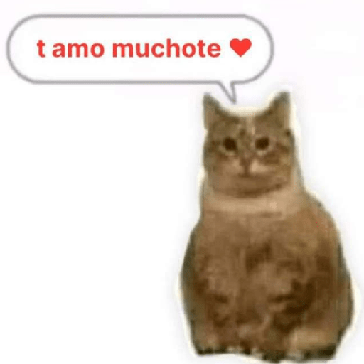 MOOD 💌 • San Valentin • 💌 18