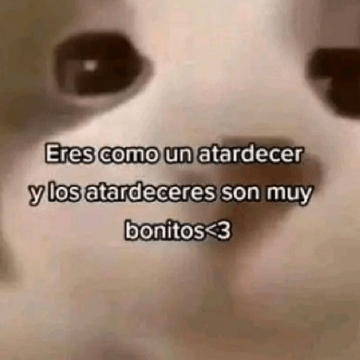 MOOD 💌 • San Valentin • 💌 6