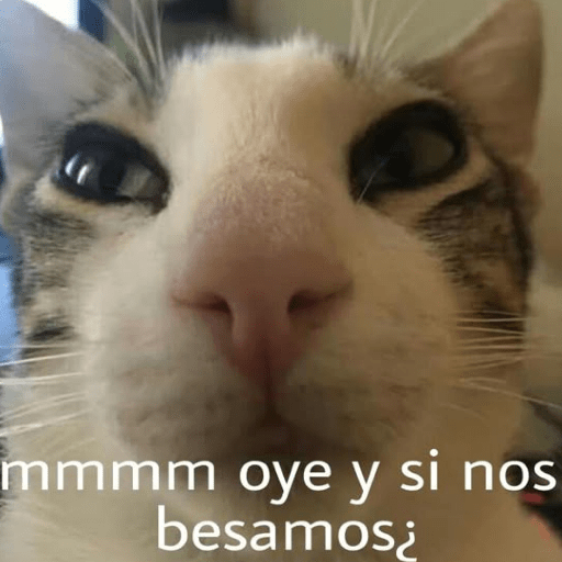 MOOD 💌 • San Valentin • 💌 2