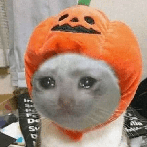 Spooky time 🎃👻 8