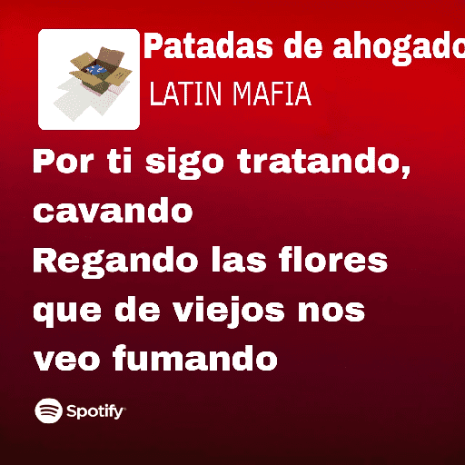 🎧 letras de canciones Vol.2 2